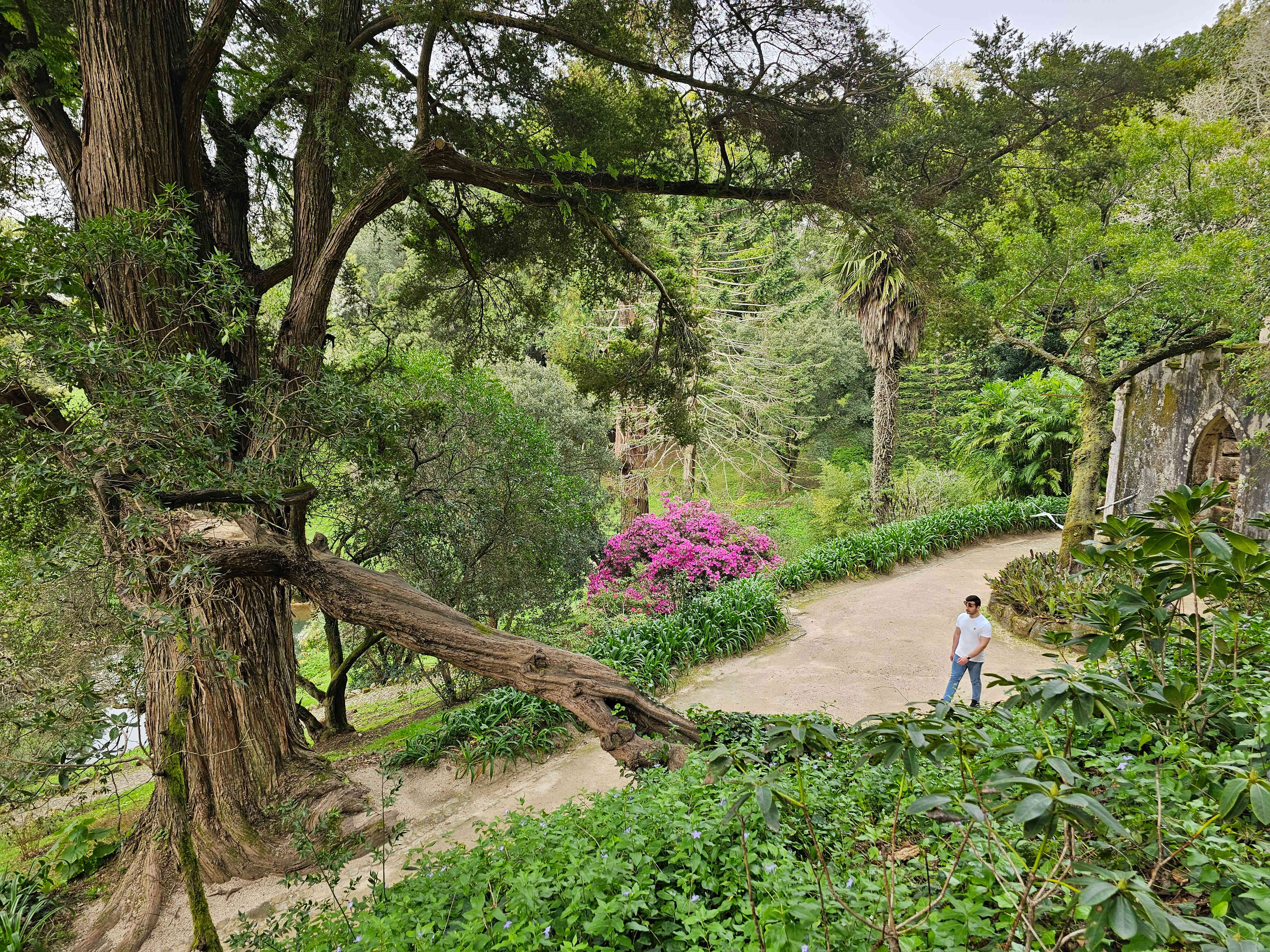 Sintra